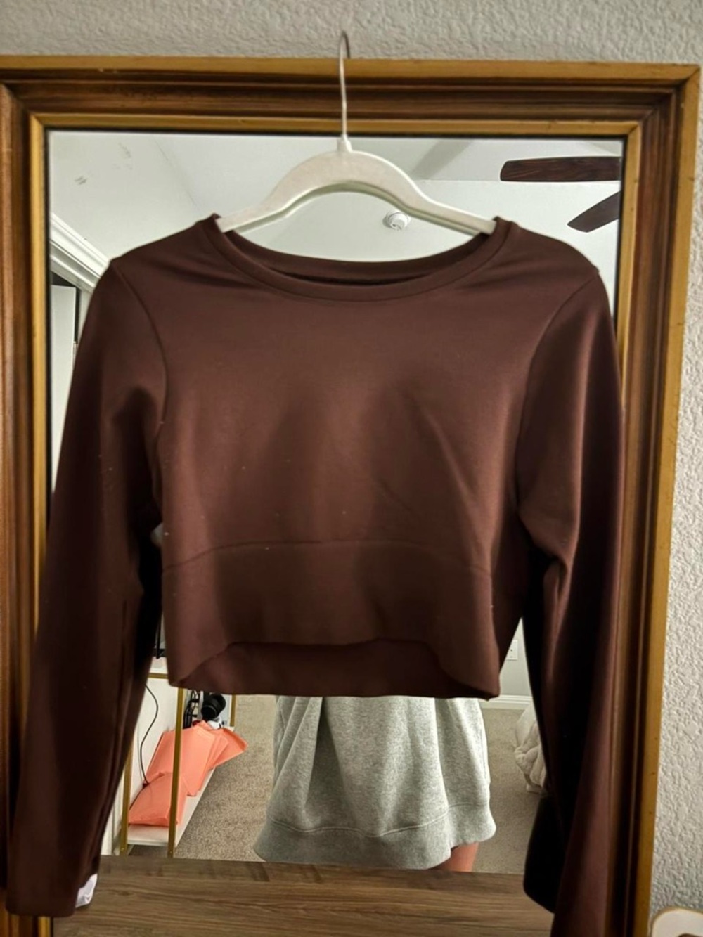 Aerie Brown Long-Sleeve Crop Top
